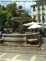 Fuente de Plaza Nueva. 