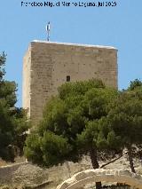 Castillo de Santa Brbara. Torre de Santa Catalina. 