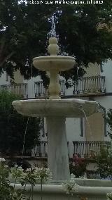 Fuente de la Plaza Mayor. 