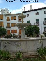 Fuente de la Plaza Mayor. 