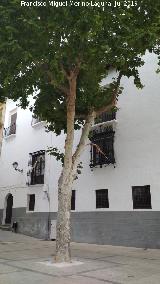 Casa de la Calle Alhondiga n 2. 