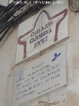 Callejn Carmona Lpez. Placa