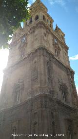 Catedral de Santa Mara. Torre. 