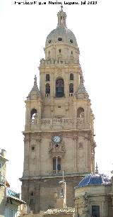 Catedral de Santa Mara. Torre. 