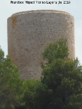 Molinos de Viento de Pedreguer