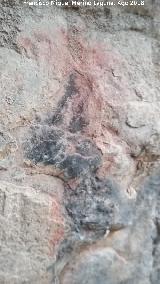 Pinturas rupestres y grabados de la Cueva de Mingo Lpez. 