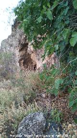 Pinturas rupestres y grabados de la Cueva de Mingo Lpez. Cueva