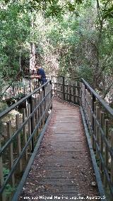 Pasarela del Ro Caamares. 