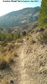 Camino de Belerda a Cuenca. 