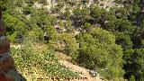 Casa de los Anarquistas. Vistas de la fbrica desde una ventana