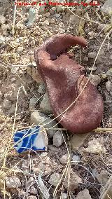 Casa de Trabajadores de la Fbrica de la Luz. Zapato de nio y cermica