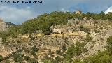 Cortijo del Caaveral. 