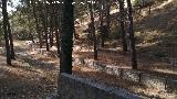 rea recreativa del Arroyo de La Cueva. 