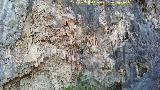Espeleotemas de la Cantera del Chozo. 