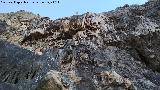 Espeleotemas de la Cantera del Chozo. 