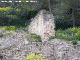 La Mota. Muralla del Arrabal Viejo. Muralla medianera que baja hacia la Puerta de Martn Ruiz