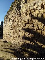 La Mota. Muralla del Arrabal Viejo. Lienzo entre el segundo quiebro y la Puerta Herrera