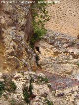 La Mota. Huerto de Moriana. Puerta del pasadizo