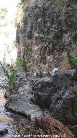 Caz del Molino Martos. 