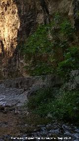 Caz del Molino Martos. 