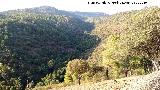 Arroyo del Batn. 