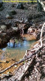 Arroyo del Batn. 