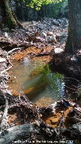 Arroyo del Batn. 