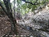 Arroyo del Batn. 