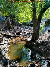 Arroyo del Batn. 