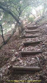 Sendero Molino del Batn. 