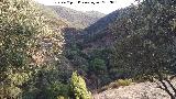 Arroyo de los Calderones. 