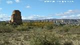 Desierto de Fonelas. 