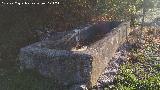 Pilar de las Arcas. 