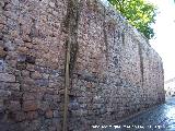 Muralla de Santisteban del Puerto. Lienzo de la Calle Cervantes