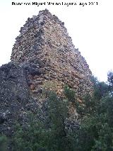 Castillo Puente Honda. 