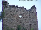 Castillo Puente Honda. 