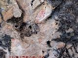 Pinturas rupestres de la Cerradura