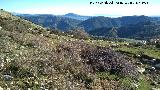 Collado del Tejuelo. Vistas hacia Cerro Prieto