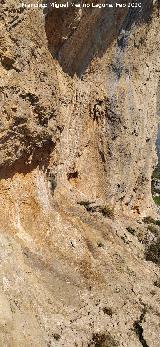 Abrigo de las Cazoletas de las Pe�as de Castro. Abrigo