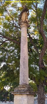 Columna Alameda Vieja. Columna