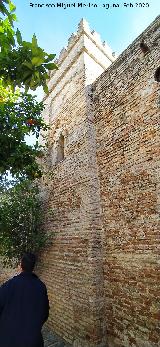 Alc�zar de Jerez. Mezquita. Minarete