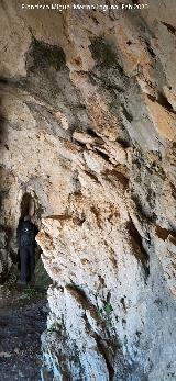 Cueva de la Cara. Interior