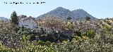 Cortijo de la Huerta. Al fondo el Ca�ad�n de G�mez