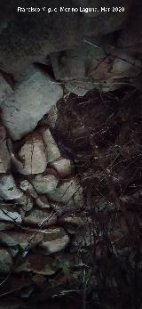 Caracol de la Veredilla. Falsa b�veda