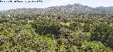 Cerro del Castillo