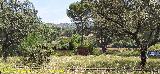 Observatorio de Do�a Rosa