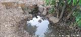 Fuente de la Sierra. 