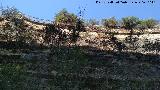 Piscifactora de los Caones. Desde el ro