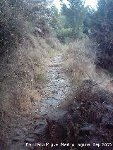 Camino del Molino de los Tontos