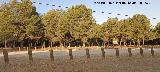 �rea recreativa La Zubia